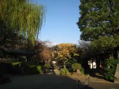龍眼寺(萩寺)(東京都)