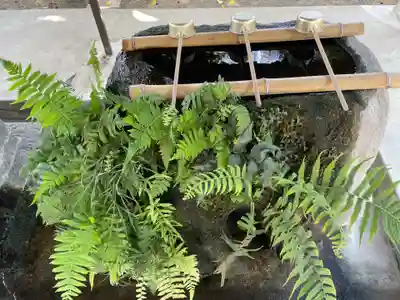 廣田八幡神社(香川県)