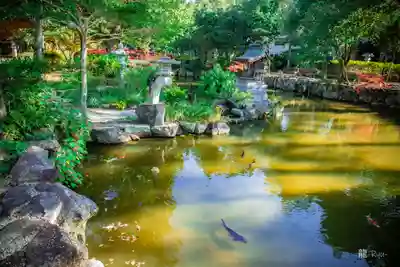 伊弉諾神宮(兵庫県)