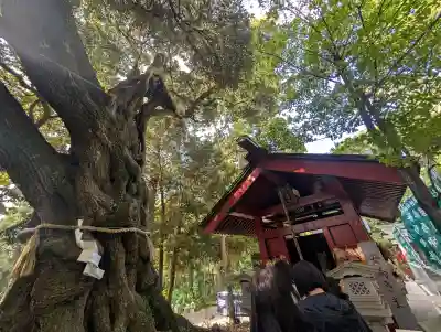 大杉神社 境内社 勝馬神社の{uncategorized: "未分類", other: "その他", undefined: "問題あり", building: "その他建物", grave: "お墓", sacred_gate: "鳥居", guardian: "狛犬", statue: "像", buddha: "仏像", history: "歴史", nature: "自然", garden: "庭園", animal: "動物", pagoda: "塔", temizu: "手水舎", mountain_gate: "山門・神門", sanctuary: "本殿・本堂", subordinate: "末社・摂社", art: "芸術", scenery: "景色", jizo: "地蔵", ema: "絵馬", goshuin: "御朱印", omikuji: "おみくじ", items: "授与品その他", amulet: "お守り", goshuincho: "御朱印帳", eats: "食事", festival: "お祭り", votive_dance: "神楽", shichigosan: "七五三参", wedding: "結婚式", experience: "体験その他", initially: "初詣", around: "周辺", anti_infection: "感染症対策"}