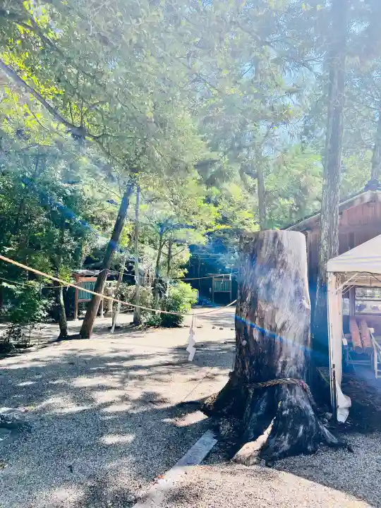 大和神社(奈良県)