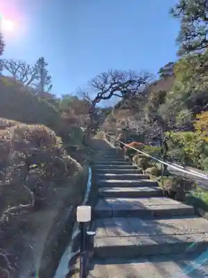 禅居院(神奈川県)