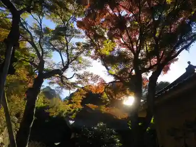 瑞泉寺のその他建物