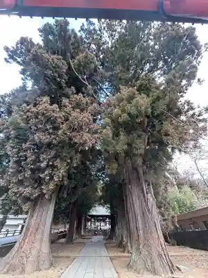河口浅間神社(山梨県)