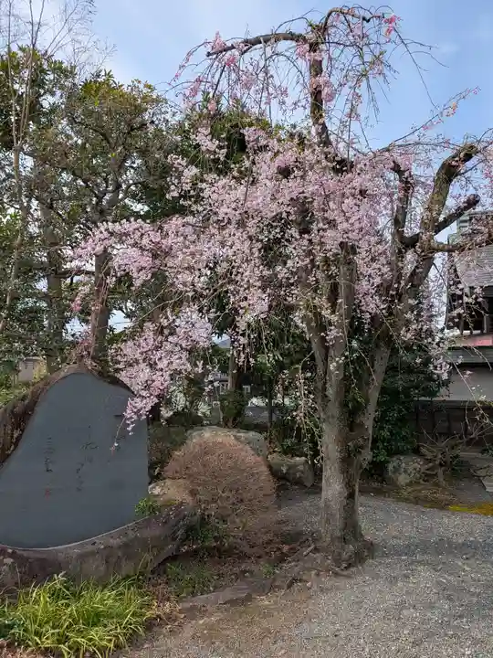 普明寺(東京都)