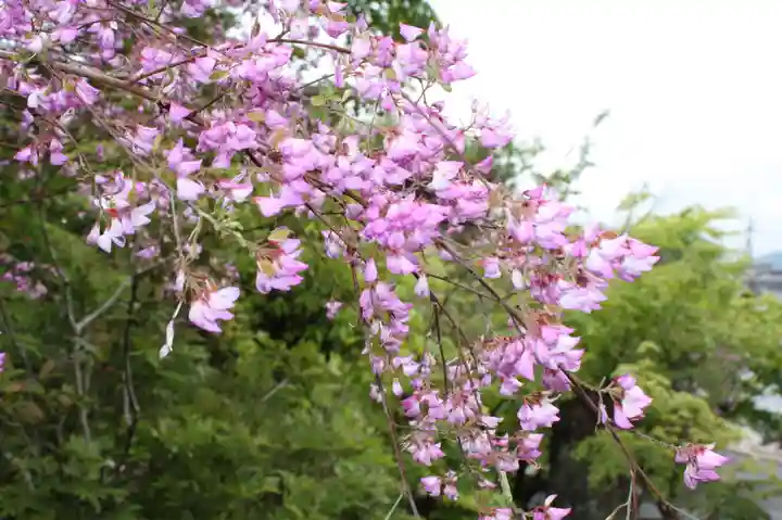 西應寺(滋賀県)