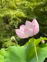 伊勢の国 四天王寺(三重県)