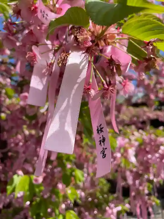 桜神宮(東京都)