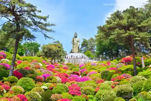 塩船観音寺(東京都)