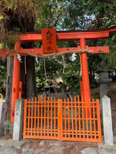 九頭神社の鳥居