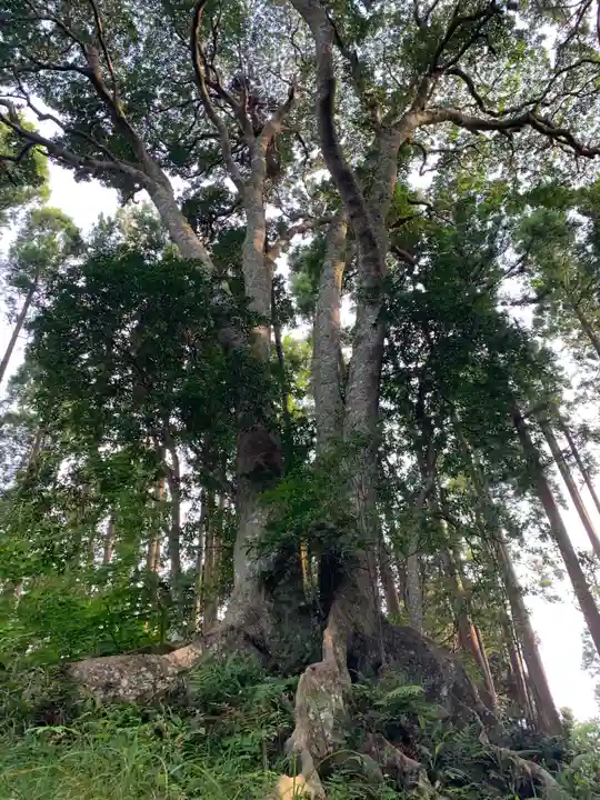 日月神社の自然