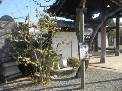 妙法寺(神奈川県)