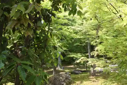 勝林寺(京都府)