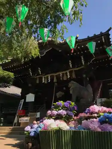 白山神社の本殿