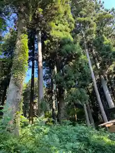 大宮温泉神社(栃木県)(2023年07月28日(金) 08時02分37秒投稿)