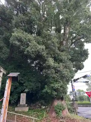 清水神社(宮崎県)