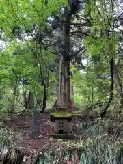 西福寺(新潟県)