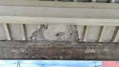 旭浜浮嶋龍神神社(北海道)