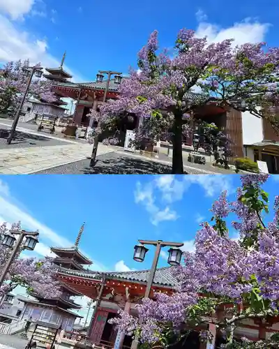 津観音(三重県)
