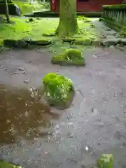 輪王寺 開山堂 観音堂の自然