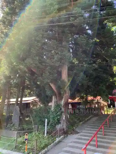 御座石神社の自然