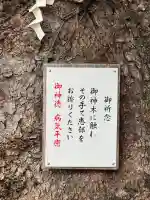 八幡社(児子八幡社)の{uncategorized: "未分類", other: "その他", undefined: "問題あり", building: "その他建物", grave: "お墓", sacred_gate: "鳥居", guardian: "狛犬", statue: "像", buddha: "仏像", history: "歴史", nature: "自然", garden: "庭園", animal: "動物", pagoda: "塔", temizu: "手水舎", mountain_gate: "山門・神門", sanctuary: "本殿・本堂", subordinate: "末社・摂社", art: "芸術", scenery: "景色", jizo: "地蔵", ema: "絵馬", goshuin: "御朱印", omikuji: "おみくじ", items: "授与品その他", amulet: "お守り", goshuincho: "御朱印帳", eats: "食事", festival: "お祭り", votive_dance: "神楽", shichigosan: "七五三参", wedding: "結婚式", experience: "体験その他", initially: "初詣", around: "周辺", anti_infection: "感染症対策"}