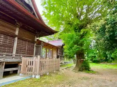 津島神社の{uncategorized: "未分類", other: "その他", undefined: "問題あり", building: "その他建物", grave: "お墓", sacred_gate: "鳥居", guardian: "狛犬", statue: "像", buddha: "仏像", history: "歴史", nature: "自然", garden: "庭園", animal: "動物", pagoda: "塔", temizu: "手水舎", mountain_gate: "山門・神門", sanctuary: "本殿・本堂", subordinate: "末社・摂社", art: "芸術", scenery: "景色", jizo: "地蔵", ema: "絵馬", goshuin: "御朱印", omikuji: "おみくじ", items: "授与品その他", amulet: "お守り", goshuincho: "御朱印帳", eats: "食事", festival: "お祭り", votive_dance: "神楽", shichigosan: "七五三参", wedding: "結婚式", experience: "体験その他", initially: "初詣", around: "周辺", anti_infection: "感染症対策"}