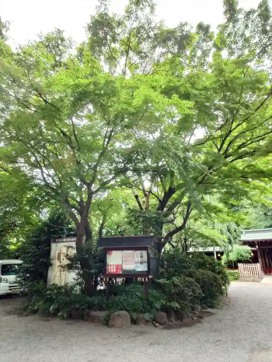 代々木八幡宮の自然