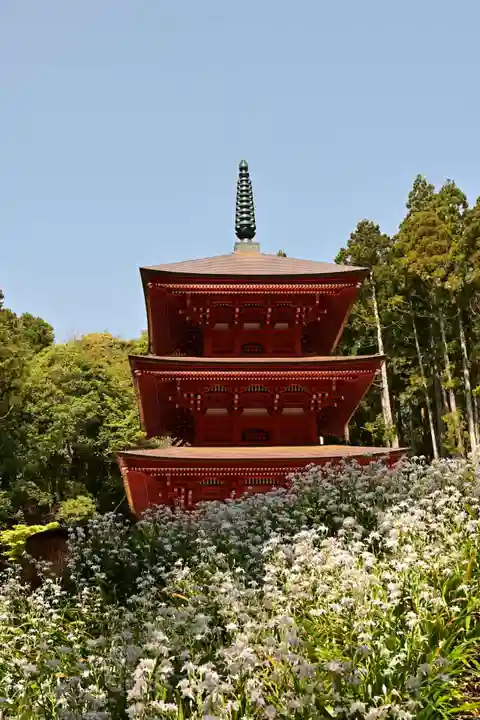 高蔵寺(福島県)