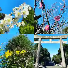 橘神社(長崎県)