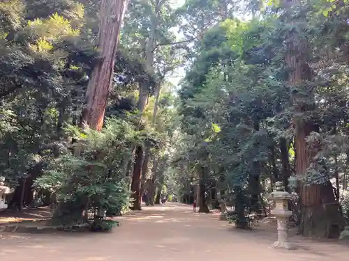 鹿島神宮(茨城県)