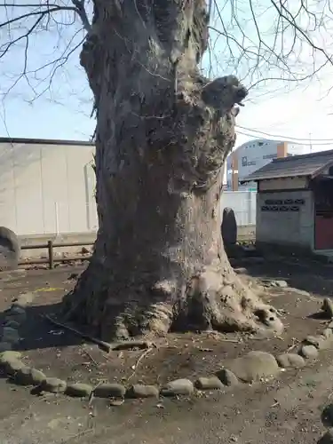 神明神社（錦町）(山形県)