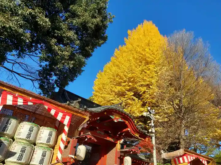 秩父神社(埼玉県)