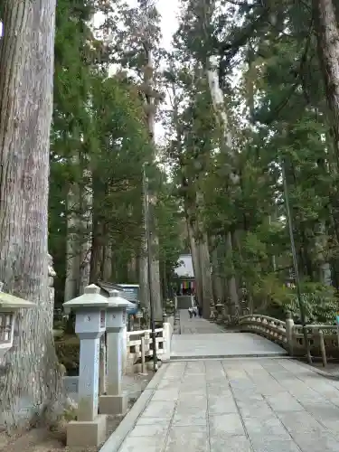 高野山金剛峯寺奥の院の{uncategorized: "未分類", other: "その他", undefined: "問題あり", building: "その他建物", grave: "お墓", sacred_gate: "鳥居", guardian: "狛犬", statue: "像", buddha: "仏像", history: "歴史", nature: "自然", garden: "庭園", animal: "動物", pagoda: "塔", temizu: "手水舎", mountain_gate: "山門・神門", sanctuary: "本殿・本堂", subordinate: "末社・摂社", art: "芸術", scenery: "景色", jizo: "地蔵", ema: "絵馬", goshuin: "御朱印", omikuji: "おみくじ", items: "授与品その他", amulet: "お守り", goshuincho: "御朱印帳", eats: "食事", festival: "お祭り", votive_dance: "神楽", shichigosan: "七五三参", wedding: "結婚式", experience: "体験その他", initially: "初詣", around: "周辺", anti_infection: "感染症対策"}