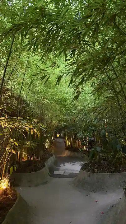 來宮神社(静岡県)
