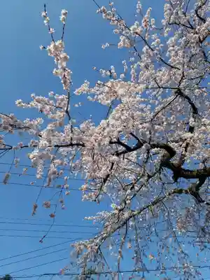 日蓮宗 総本山 塔頭 定林坊(じょうりんぼう)(山梨県)