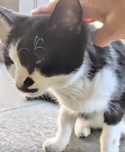 白金氷川神社(東京都)