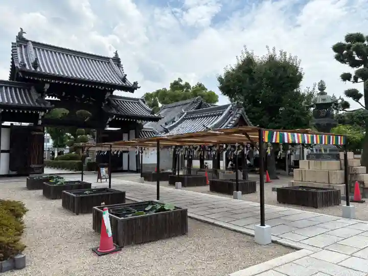 大念佛寺(大阪府)