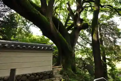 大興寺(香川県)