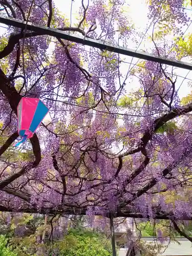 國領神社(東京都)