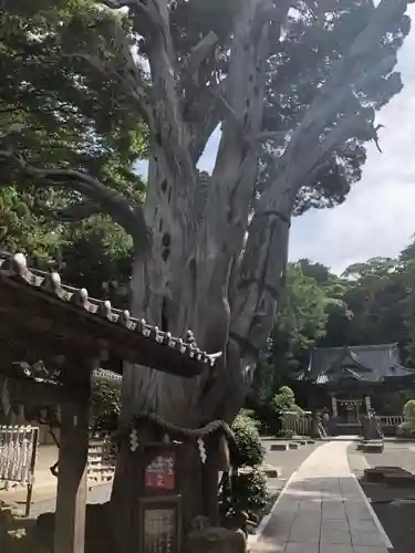 伊古奈比咩命神社のその他建物