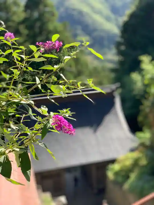 宝珠山 立石寺の自然