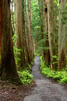 戸隠神社九頭龍社(長野県)