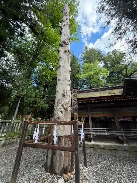 諏訪大社下社春宮(長野県)