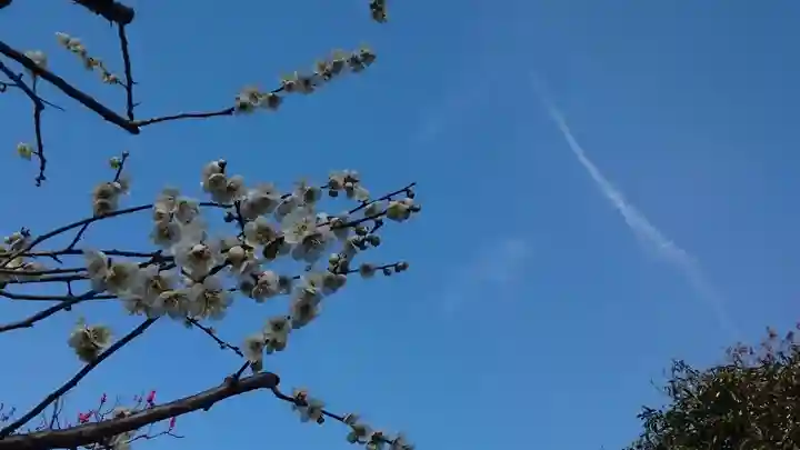 布多天神社(東京都)