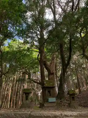 愛宕神社の自然