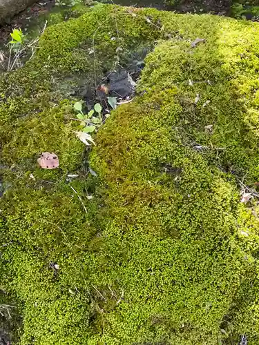 勝持寺（花の寺）(京都府)