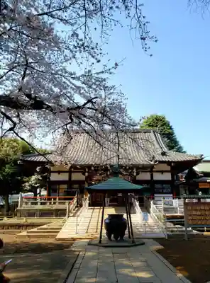 新井薬師(梅照院)の本殿・本堂
