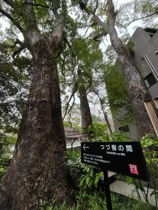 來宮神社(静岡県)