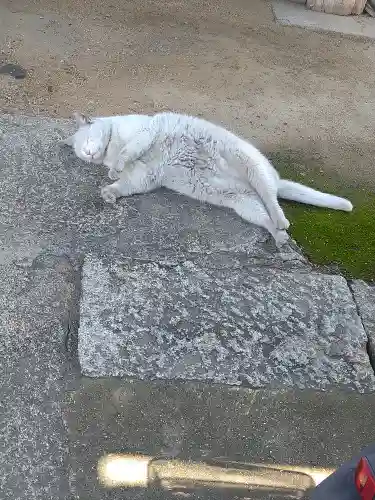 羽黒神社(岡山県)